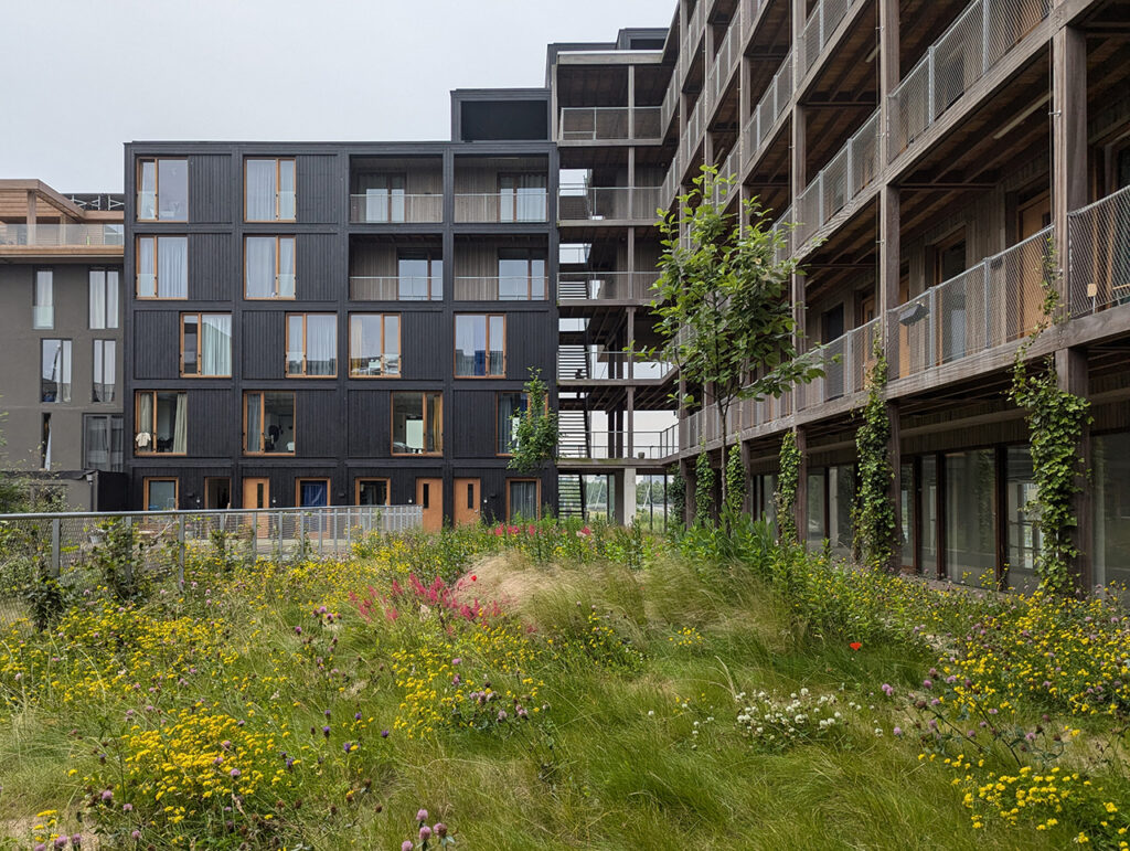 Juf Nienke Centrumeiland IJburg Amsterdam